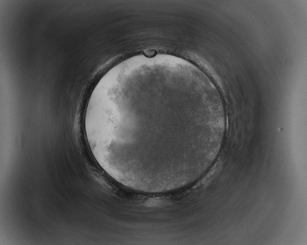 X0000086760249200705111721