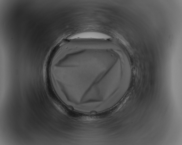 X0000086760250200705111721