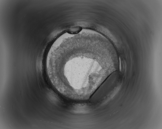 X0000086760252200705111721