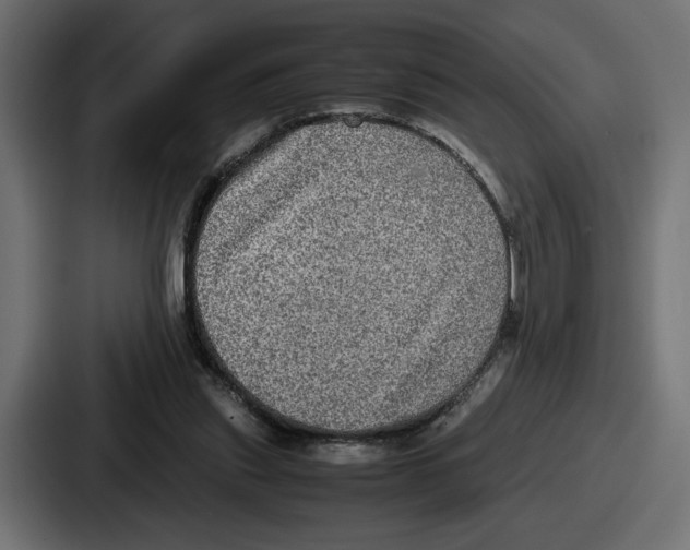 X0000086760253200705111721