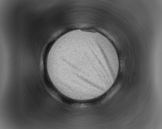 X0000086760254200705111721
