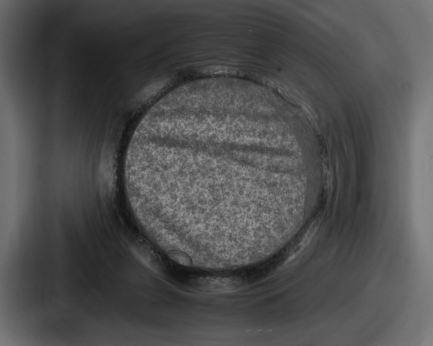 X0000086760255200705111721