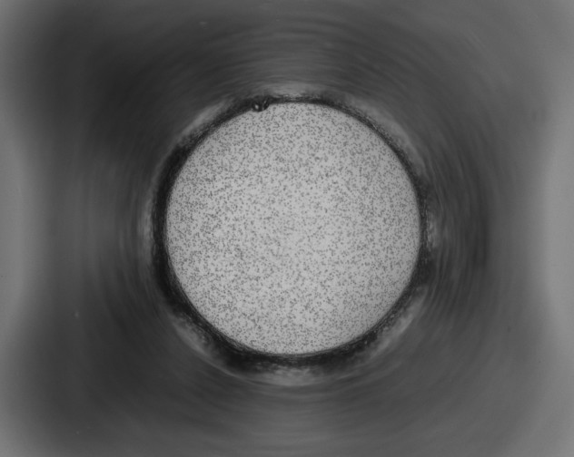 X0000086760256200705111721