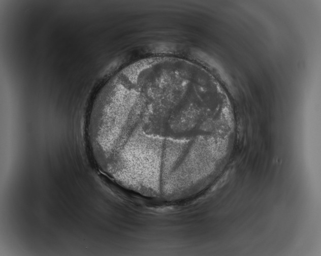 X0000086760257200705111721