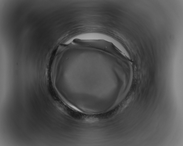 X0000086760258200705111721
