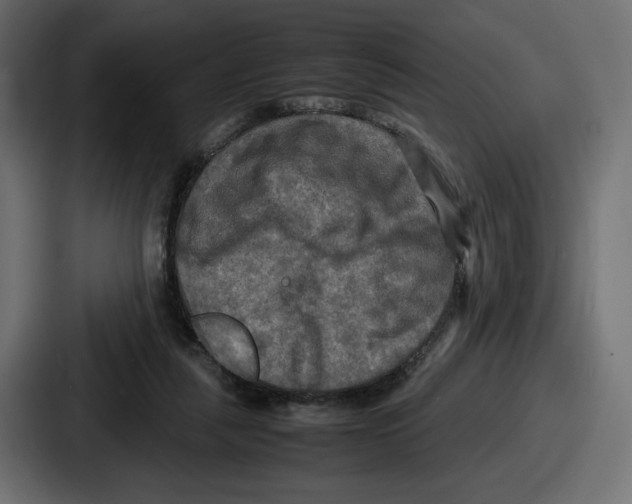 X0000086760259200705111721