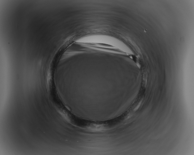 X0000086760260200705111721