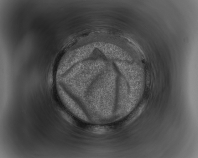X0000086760261200705111721