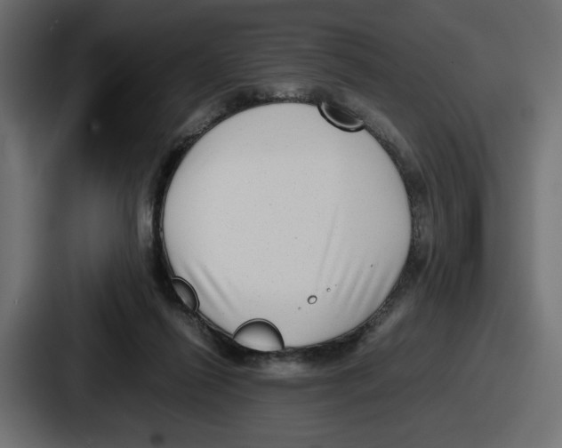 X0000086760262200705111721