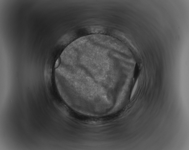 X0000086760263200705111721