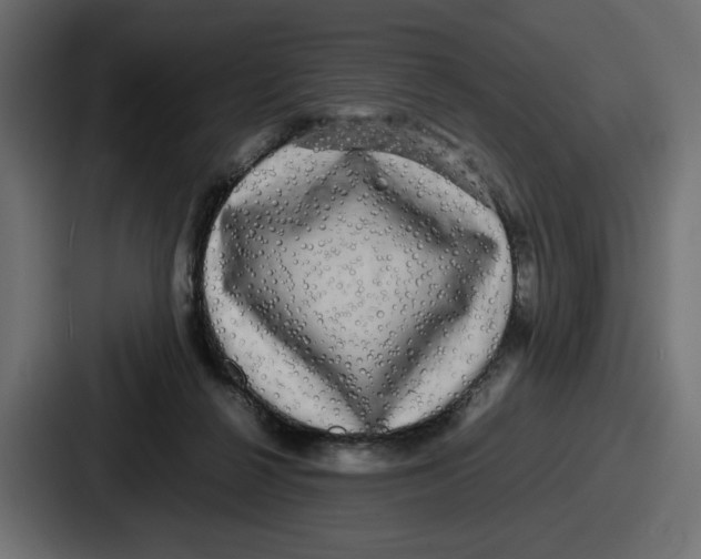X0000086760264200705111721
