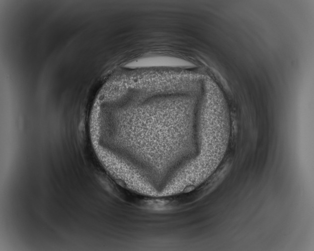 X0000086760265200705111721