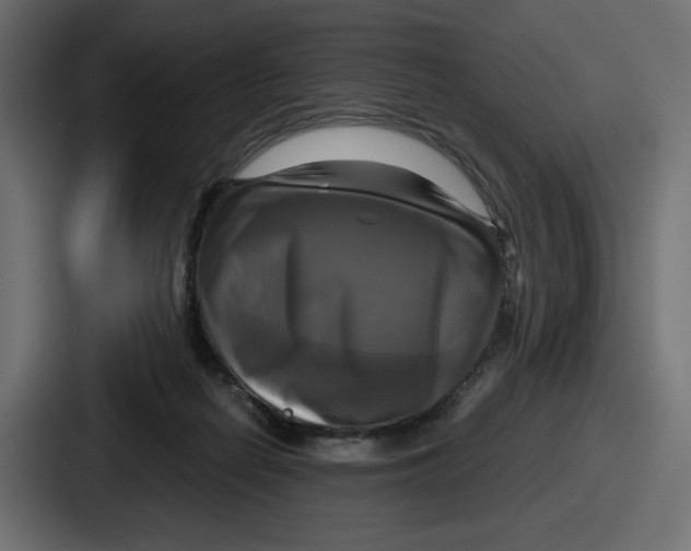 X0000086760266200705111721