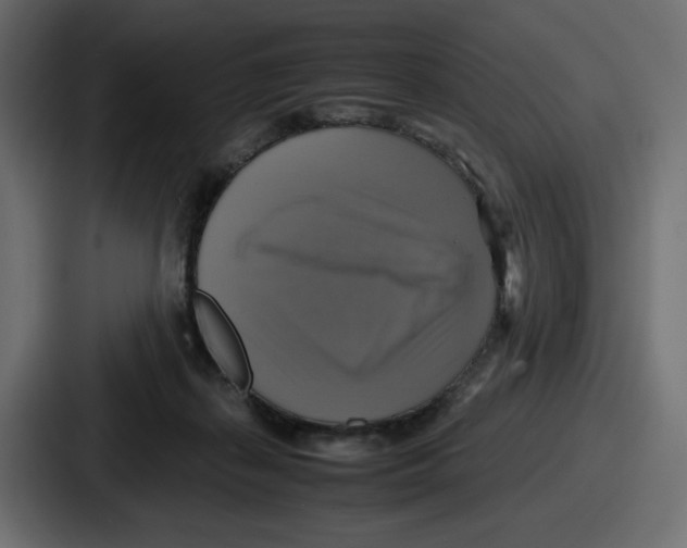X0000086760267200705111721
