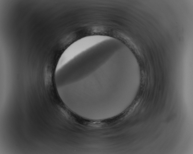 X0000086760269200705111721