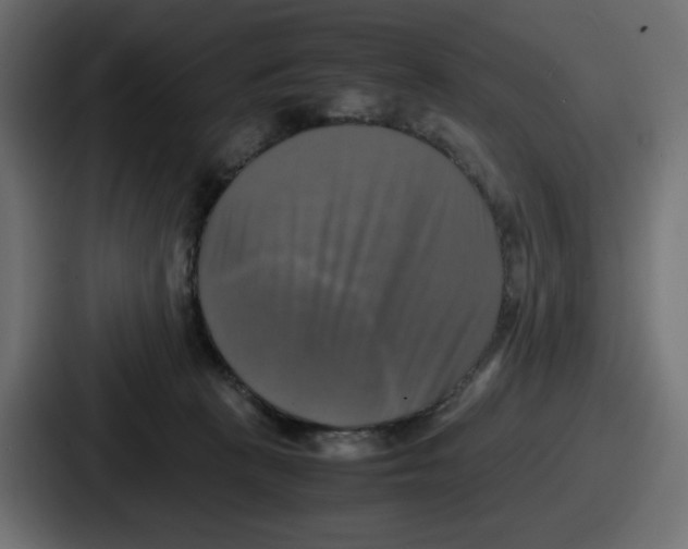 X0000086760273200705111721