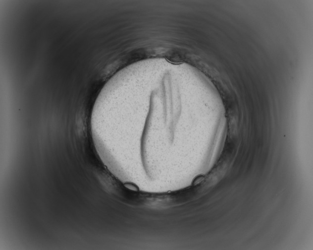 X0000086760274200705111721