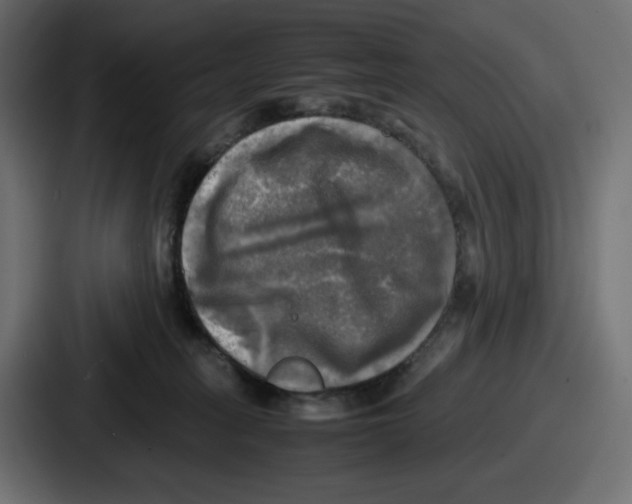 X0000086760275200705111721