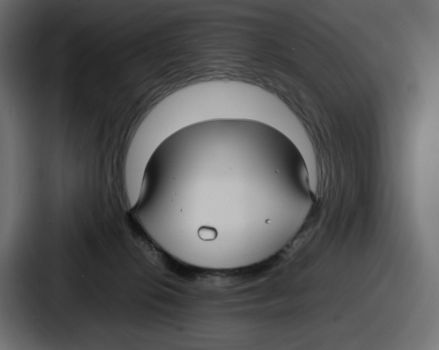 X0000086760276200705111721