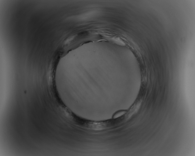 X0000086760277200705111721