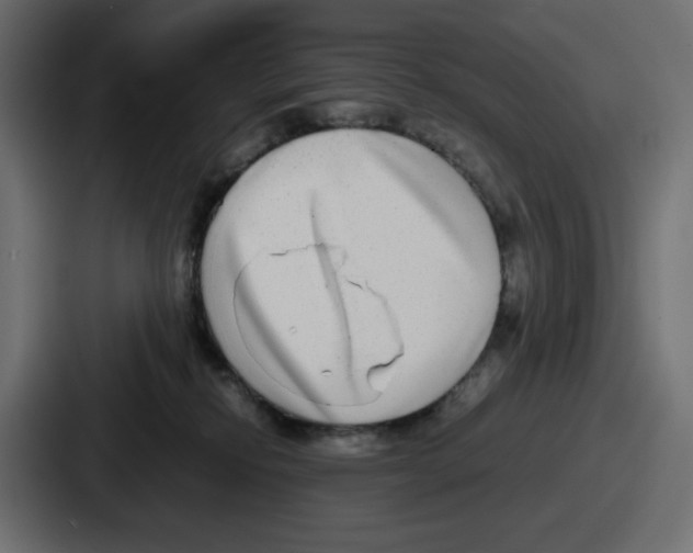 X0000086760278200705111721