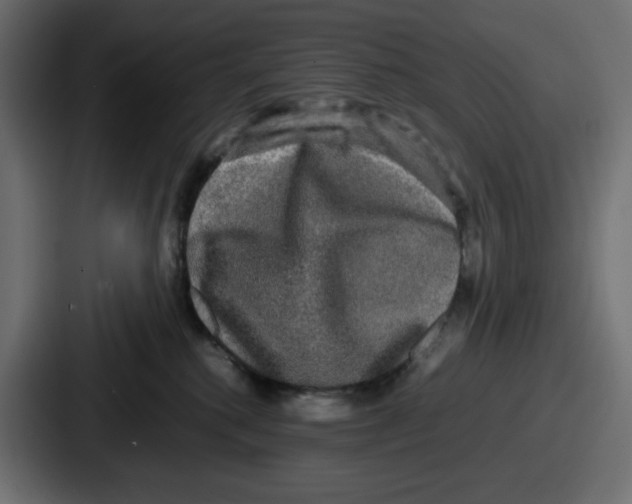 X0000086760280200705111721