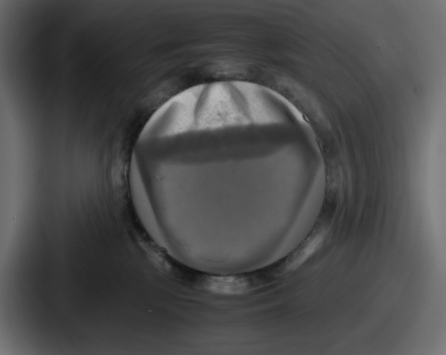 X0000086760281200705111721