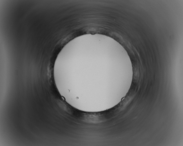 X0000086760282200705111721