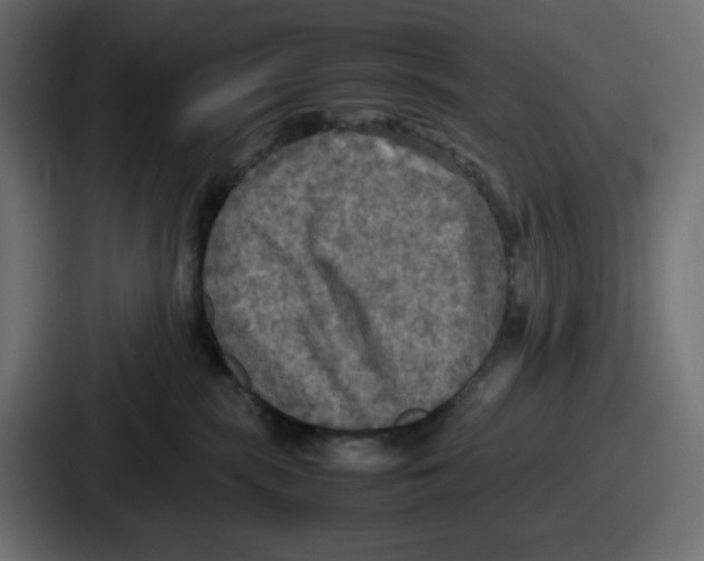 X0000086760283200705111721