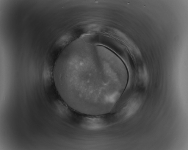 X0000086760284200705111721