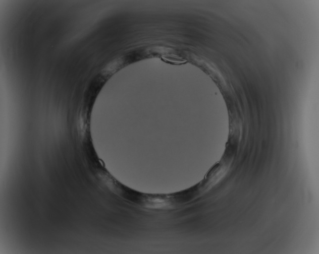 X0000086760285200705111721