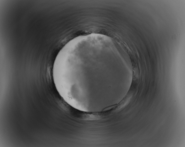 X0000086760286200705111721