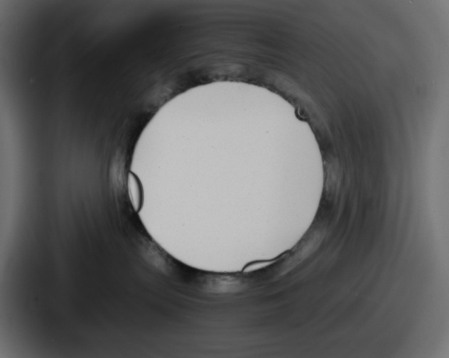 X0000086760287200705111721