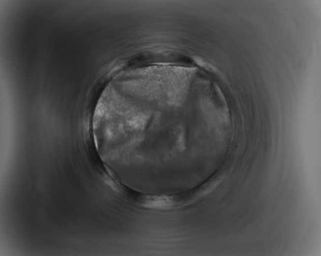 X0000086760288200705111721