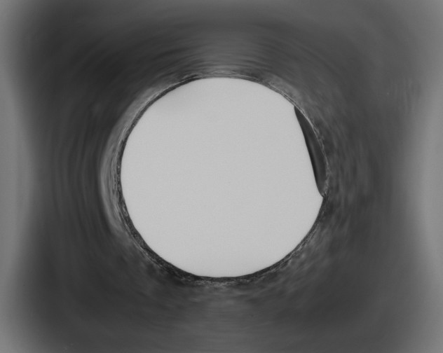 X0000086760289200705111720