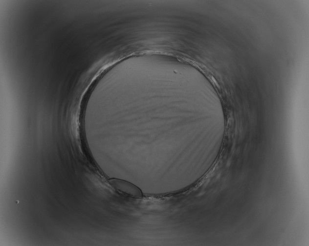 X0000086760290200705111720