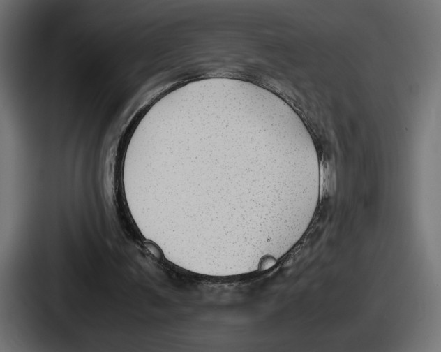 X0000086760291200705111720