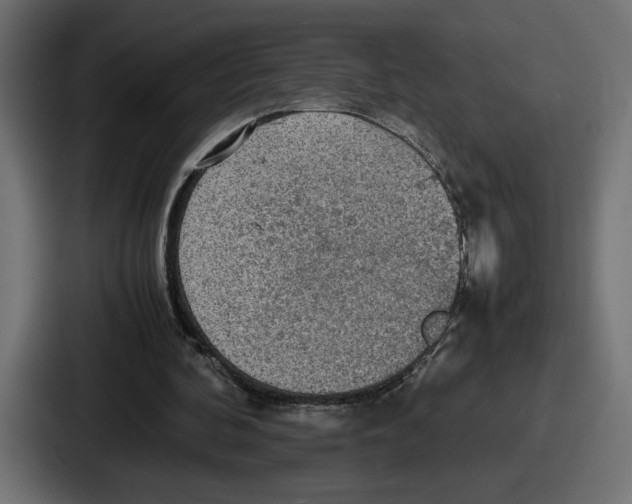 X0000086760292200705111720