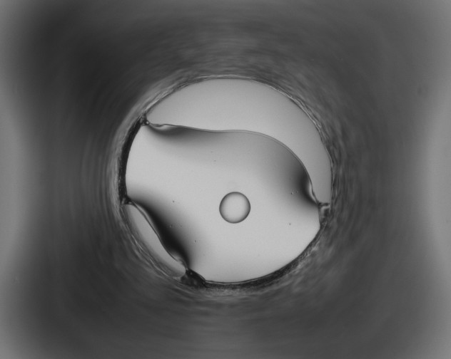 X0000086760293200705111720