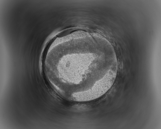 X0000086760294200705111720