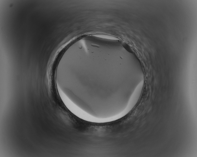 X0000086760295200705111720