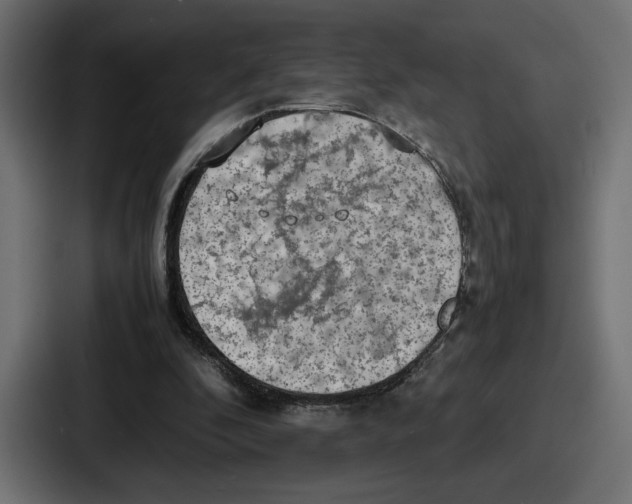 X0000086760296200705111720