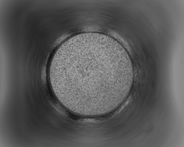 X0000086760298200705111720