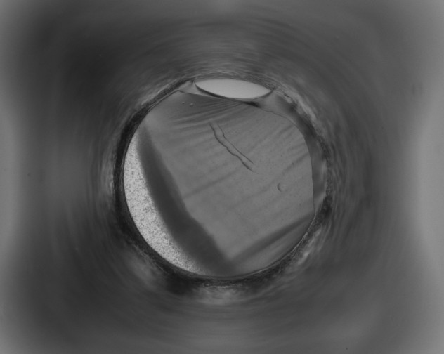 X0000086760299200705111720