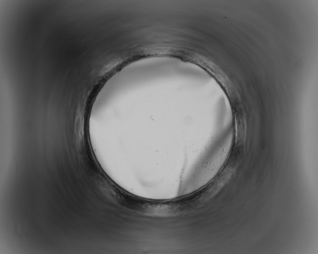 X0000086760301200705111720