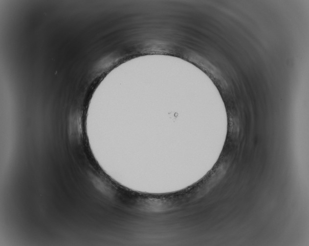 X0000086760302200705111720