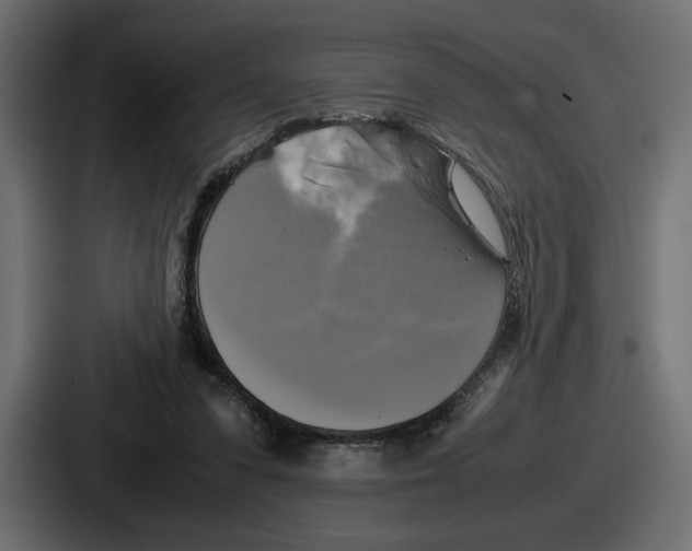 X0000086760303200705111720