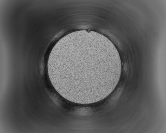X0000086760304200705111720