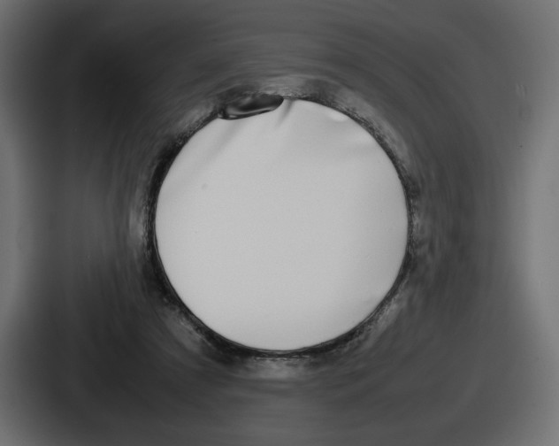 X0000086760305200705111720