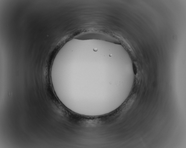 X0000086760306200705111720